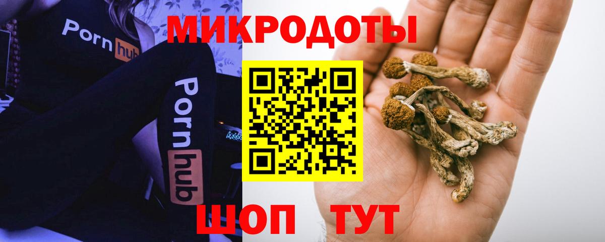Псилоцибиновые грибы GOLDEN TEACHER Домодедово